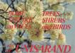 Photo of white blossoms on a tree in the background, wih red lettering in the foreground: at the top is the main book title, bilingual and in caps, on left (English) and on right: Afrikaans, with the rest of the subtitle below: vn / of UNISARAND